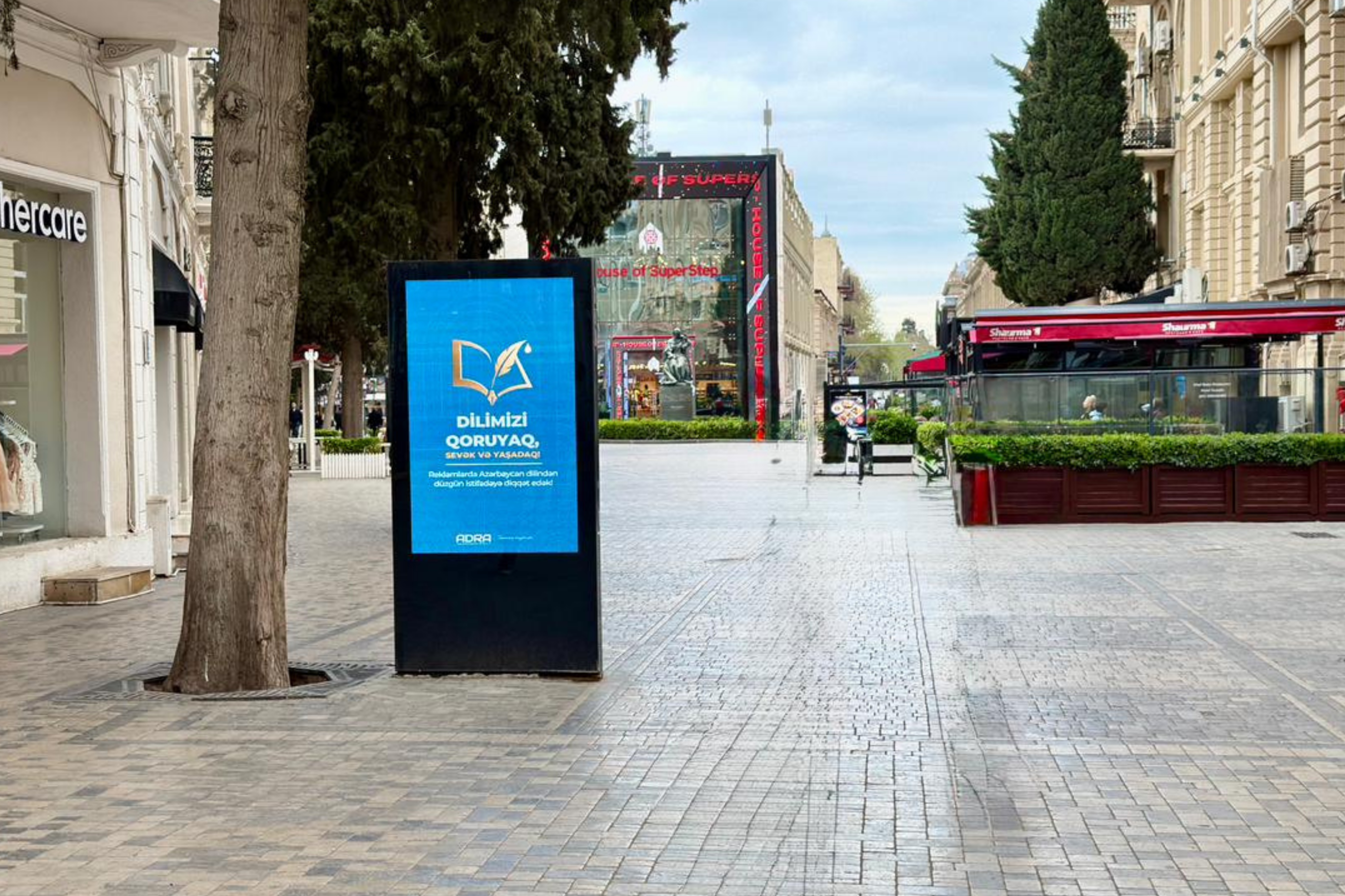  Dilimizi qoruyaq, sevək və yaşadaq!