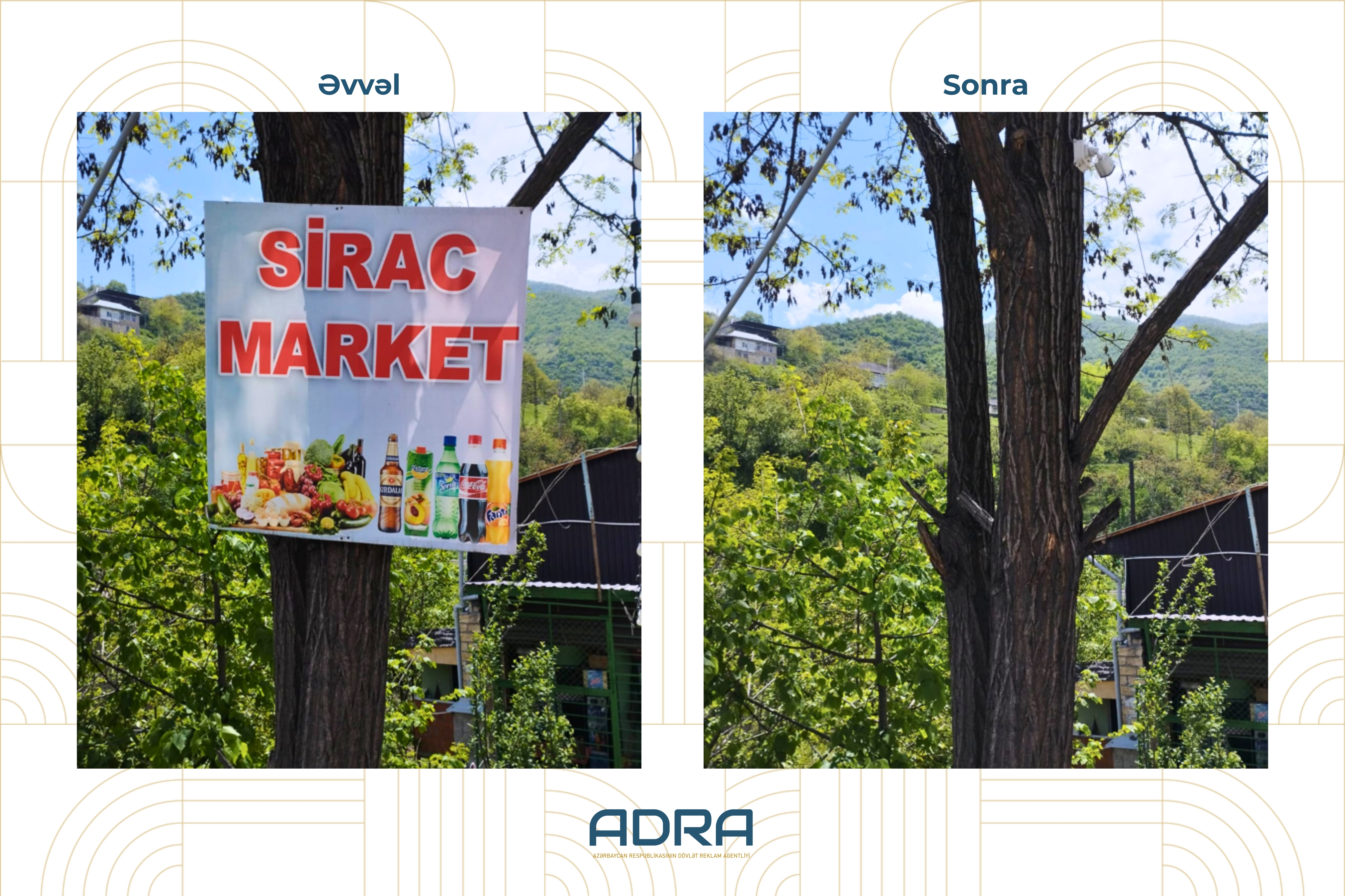  ADRA ağacların üzərinə vurulmuş yüzlərlə reklam qurğusunu demontaj edib