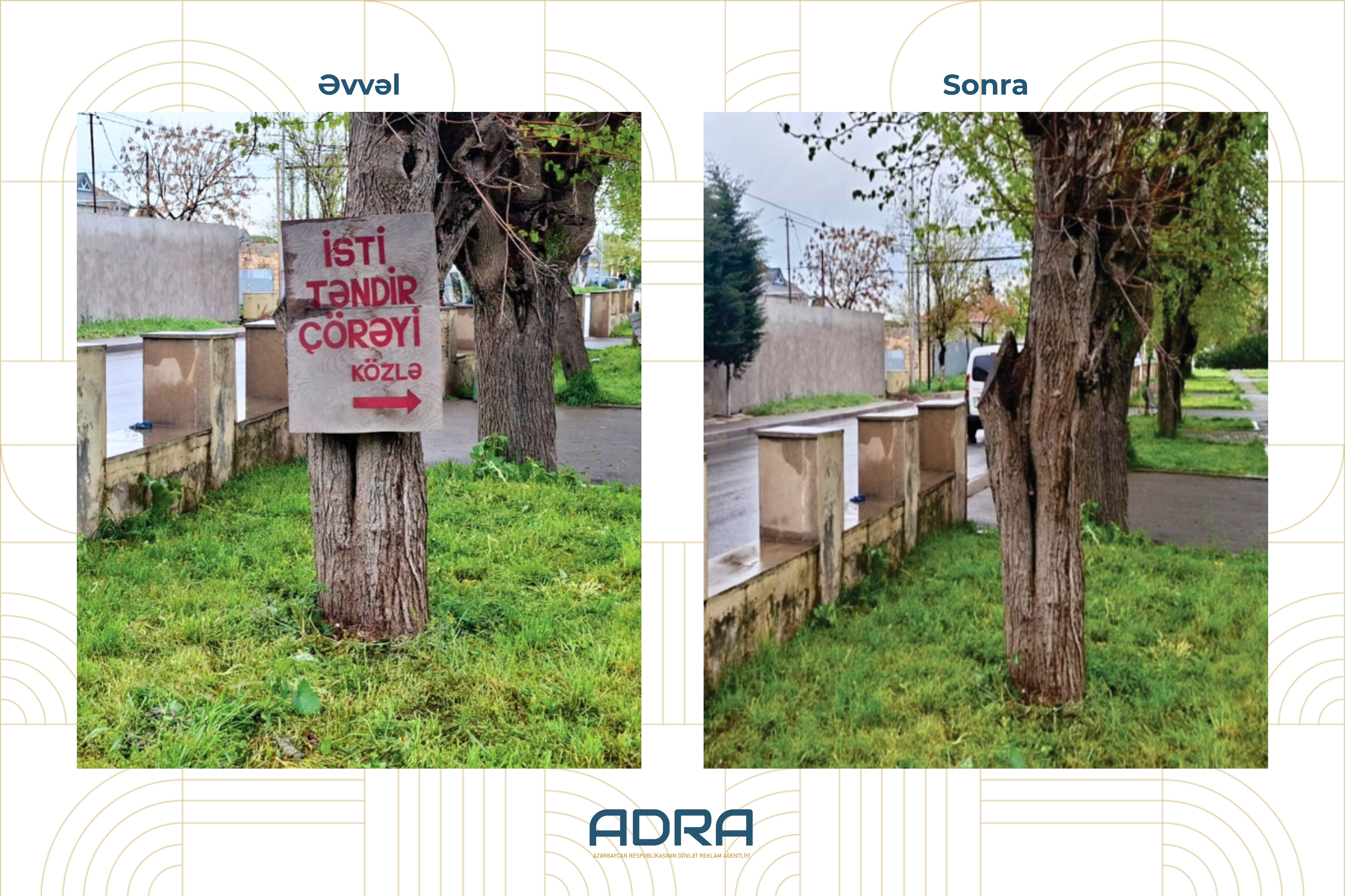  ADRA ağacların üzərinə vurulmuş yüzlərlə reklam qurğusunu demontaj edib