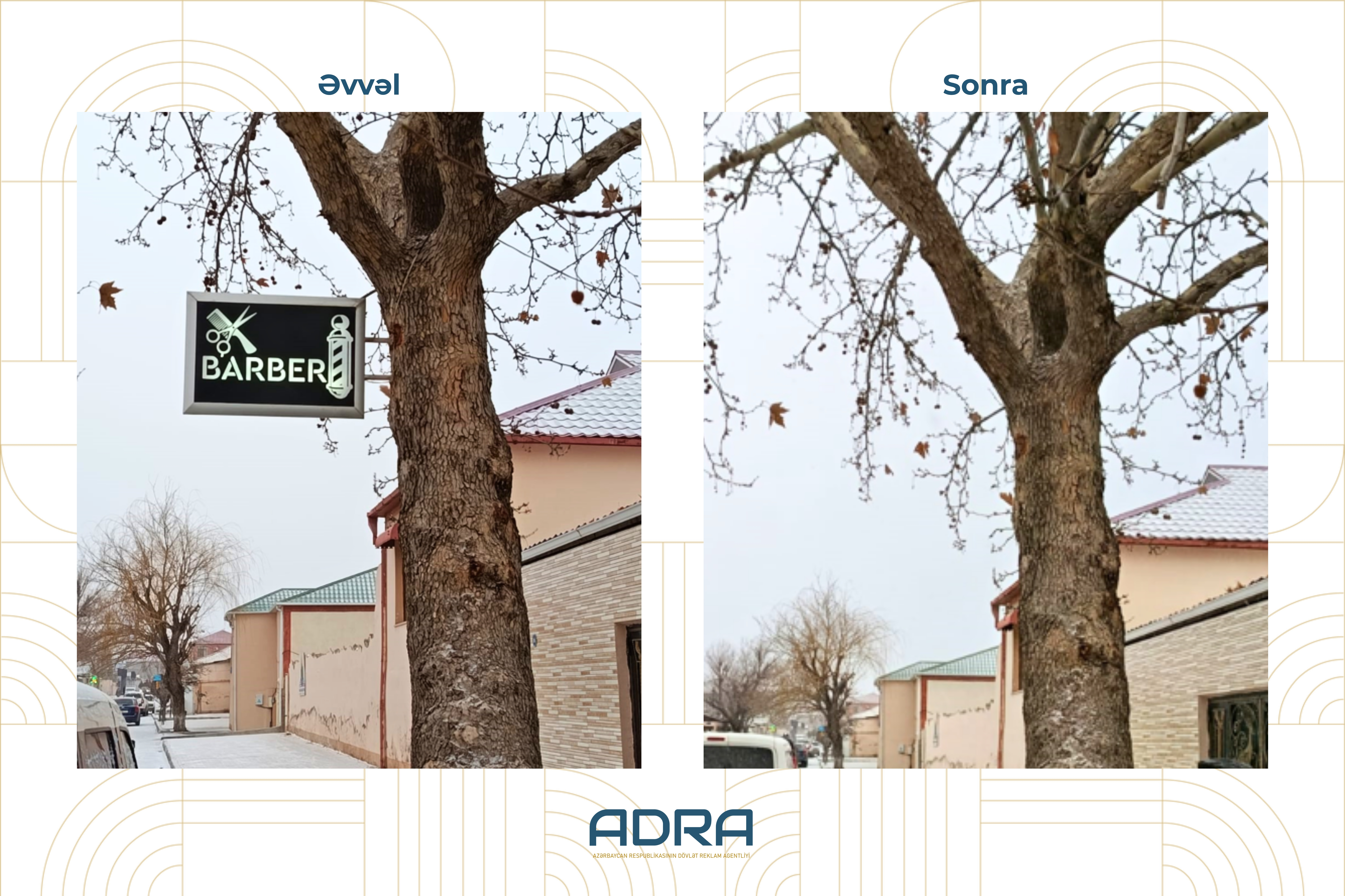  ADRA ağacların üzərinə vurulmuş yüzlərlə reklam qurğusunu demontaj edib