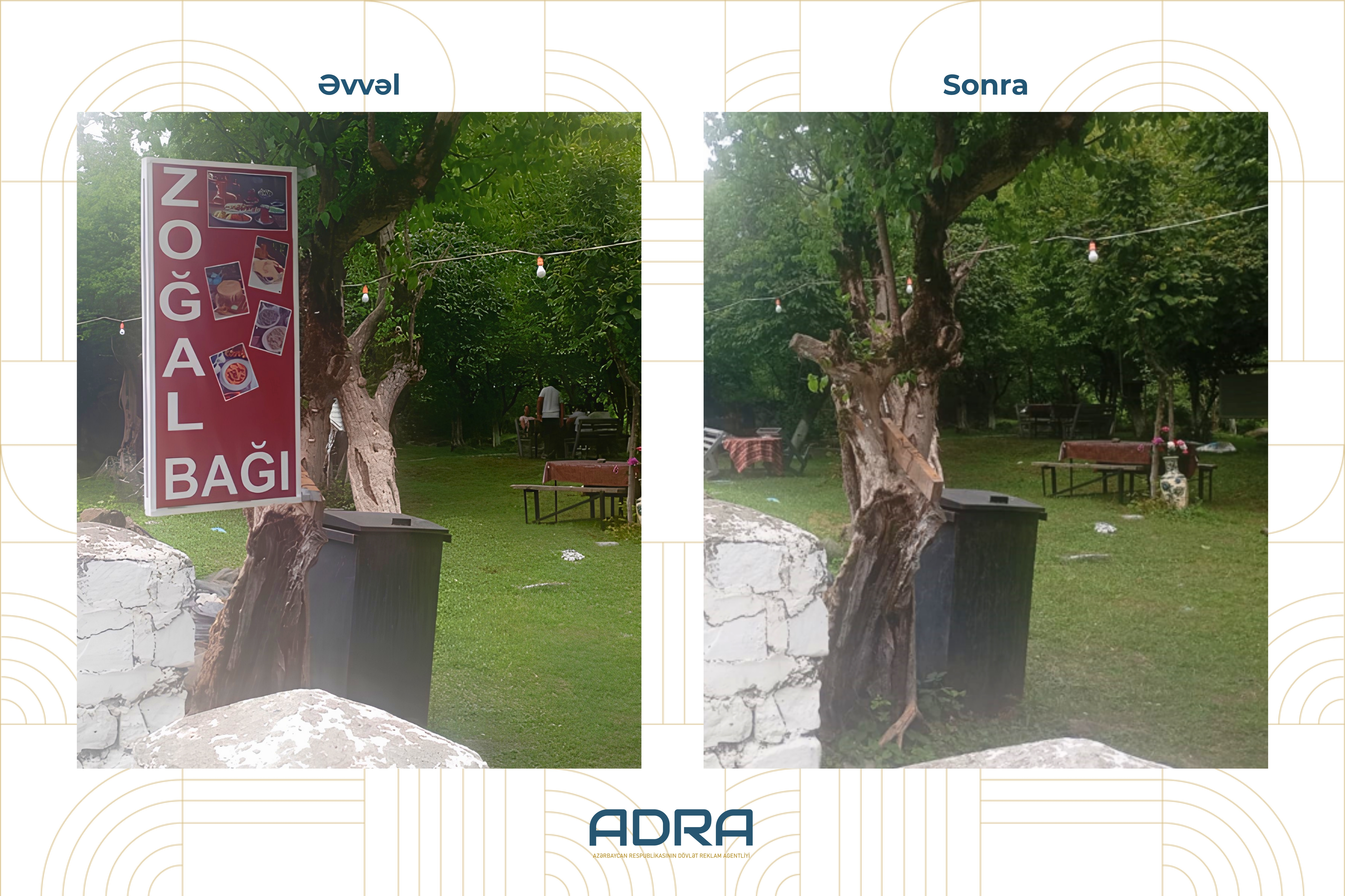  ADRA ağacların üzərinə vurulmuş yüzlərlə reklam qurğusunu demontaj edib