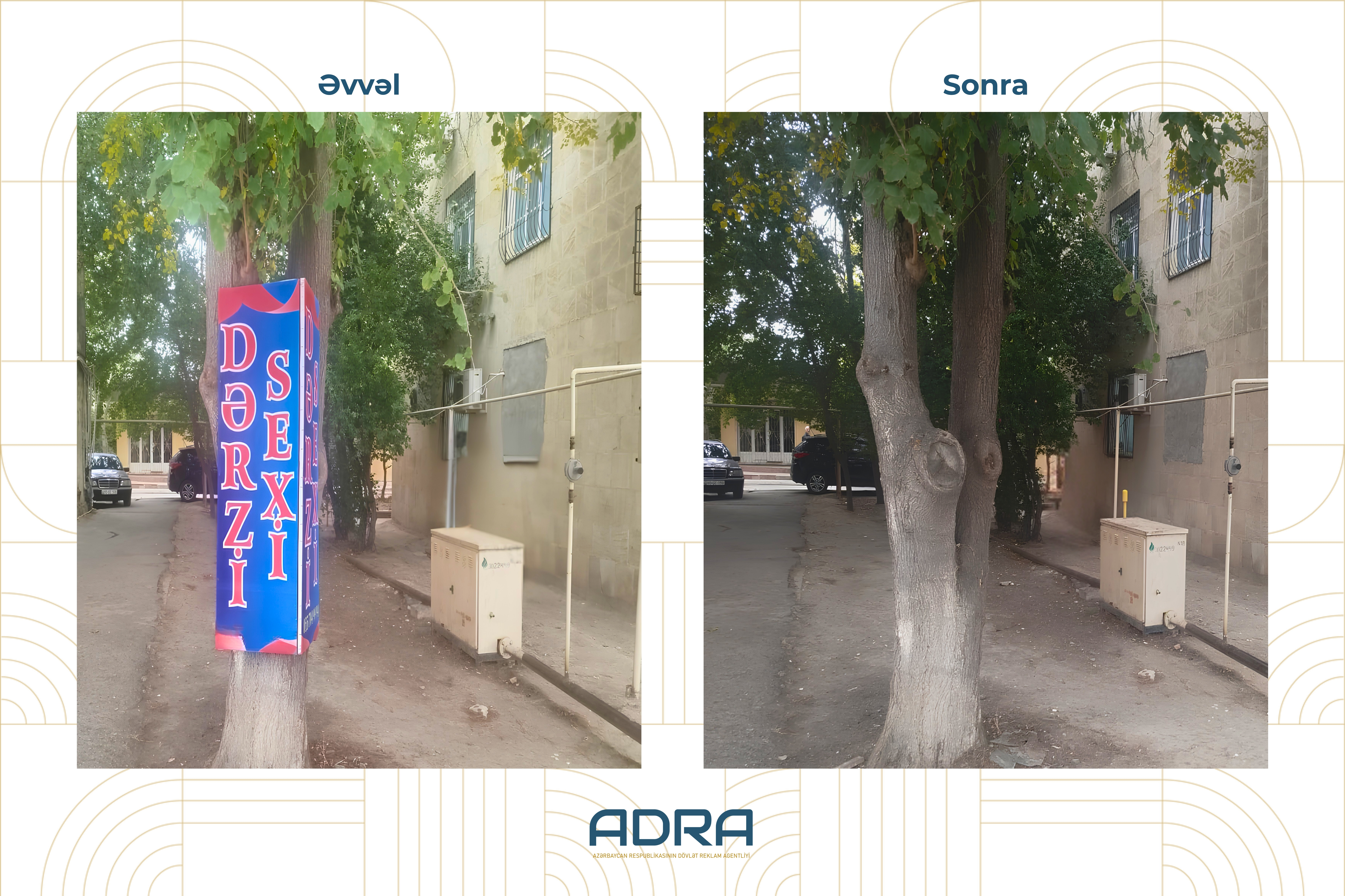  ADRA ağacların üzərinə vurulmuş yüzlərlə reklam qurğusunu demontaj edib